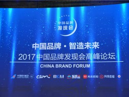 中视鸿图受邀出席2017中国品牌发现会高峰论坛